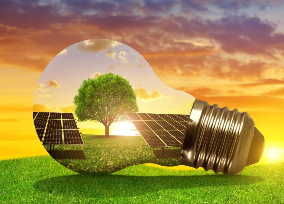 Why Solar Energy Continues to Lead the Renewable Energy Pack for Australian Businesses